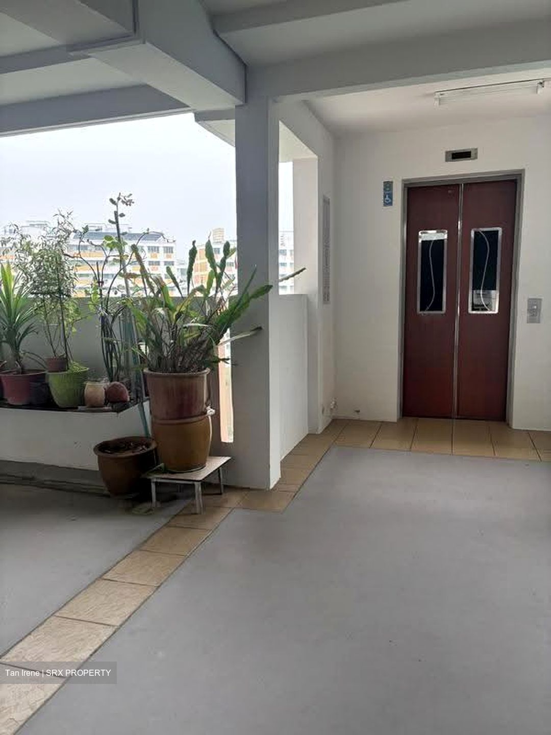 Blk 214 Petir Road (Bukit Panjang), HDB 3 Rooms #631554321